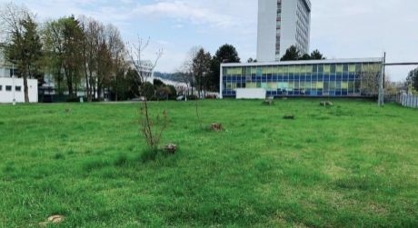 Na predaj stavebný pozemok - priemyselná zóna 5.413 m2, Stará Turá