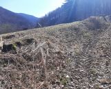 Rekreačný pozemok Trenčianske Teplice 2201 m2