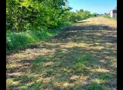 Ponúkame na predaj pozemok v Okoličnej na Ostrove