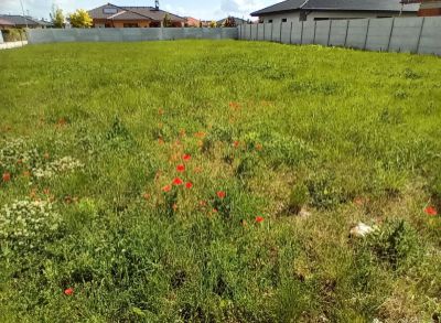 3092 Na predaj stavebný pozemok v Nových Zámkoch
