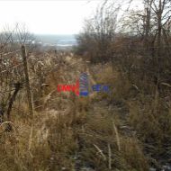 Neobrábaný vinohrad Modra lokalita Dolné Grefty -3600 m2
