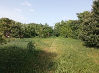 Ponúkame na predaj pozemok v obci Chotín