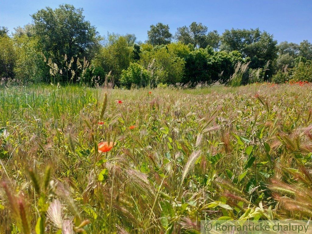 Ostatné plochy-Predaj-Radvaň nad Dunajom-47990.00 €