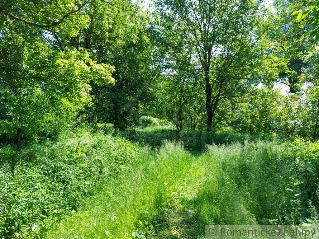 Pozemok na brehu Dunaja v obci Radvaň nad Dunajom