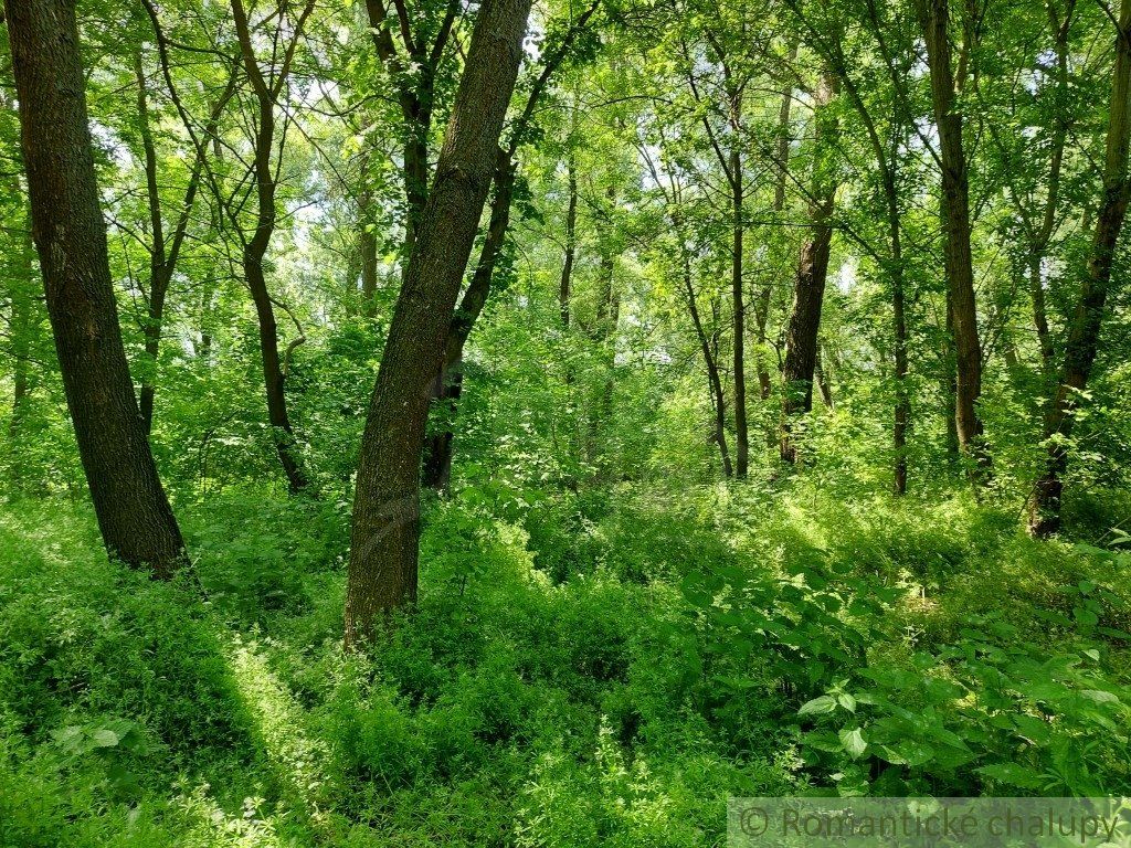 Pozemok na brehu Dunaja v obci Radvaň nad Dunajom