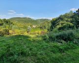 Rekreačný pozemok Trenčianske Teplice 544 m2