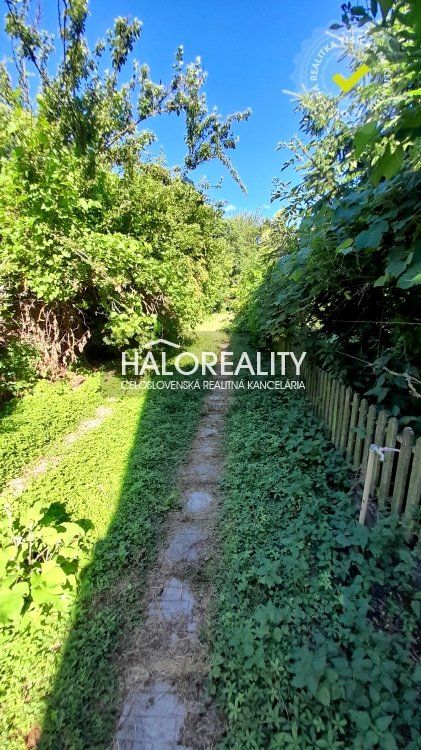 HALO reality - Predaj, rodinný dom Hontianske Tesáre, Dvorníky, s veľkým pozemkom 5189m2