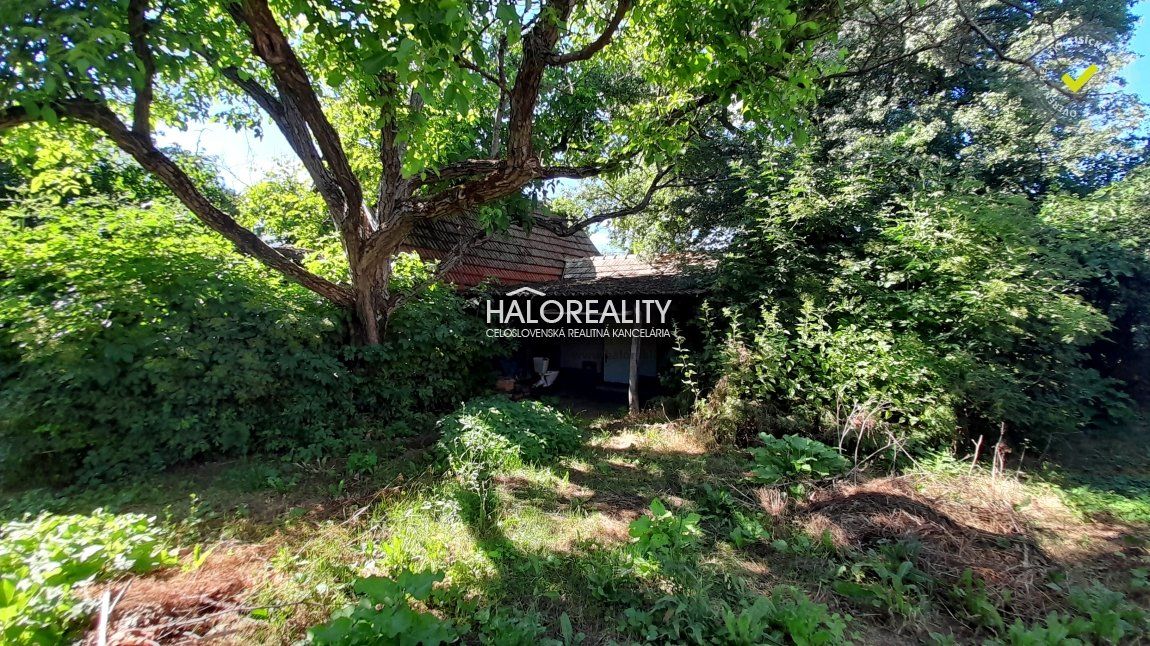 HALO reality - Predaj, rodinný dom Hontianske Tesáre, Dvorníky, s veľkým pozemkom 5189m2