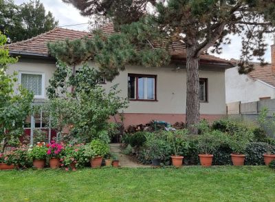 Areté real - Predaj samostatne stojaceho rodinného domu v obci Vinosady
