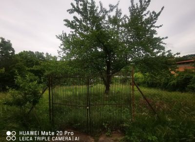 Stavebný pozemok pre výstavbu rodinného domu alebo dvojdomu