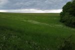 Pozemky, trvalý trávnatý porast - Košariská - Fotografia 6 