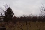 Pozemky, trvalý trávnatý porast - Sebedražie - Fotografia 4 