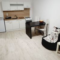 1 izbový byt, Bánovce nad Bebravou, 35 m², Kompletná rekonštrukcia