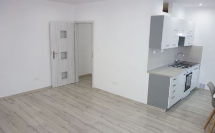 Novo-zrekonštruovaný tehlový 2-izbový byt 53 m2 na ul. 28. okóbra v Trenčíne
