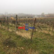 N Neobrábaný vinohrad Rača, lokalita Longtále, 3656 m2, aj ako investícia