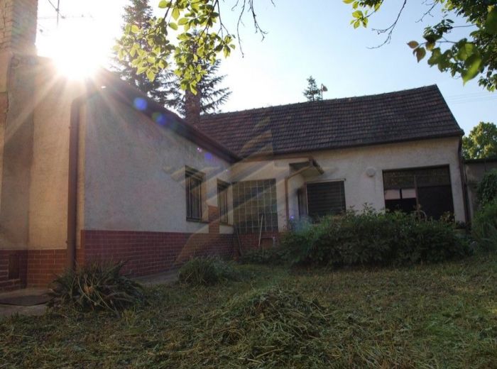 PREDANÉ - ŽITNÁ, 5-i dom, 234 m2 – zachovalý rodinný dom VHODNÝ AJ NA PODNIKANIE