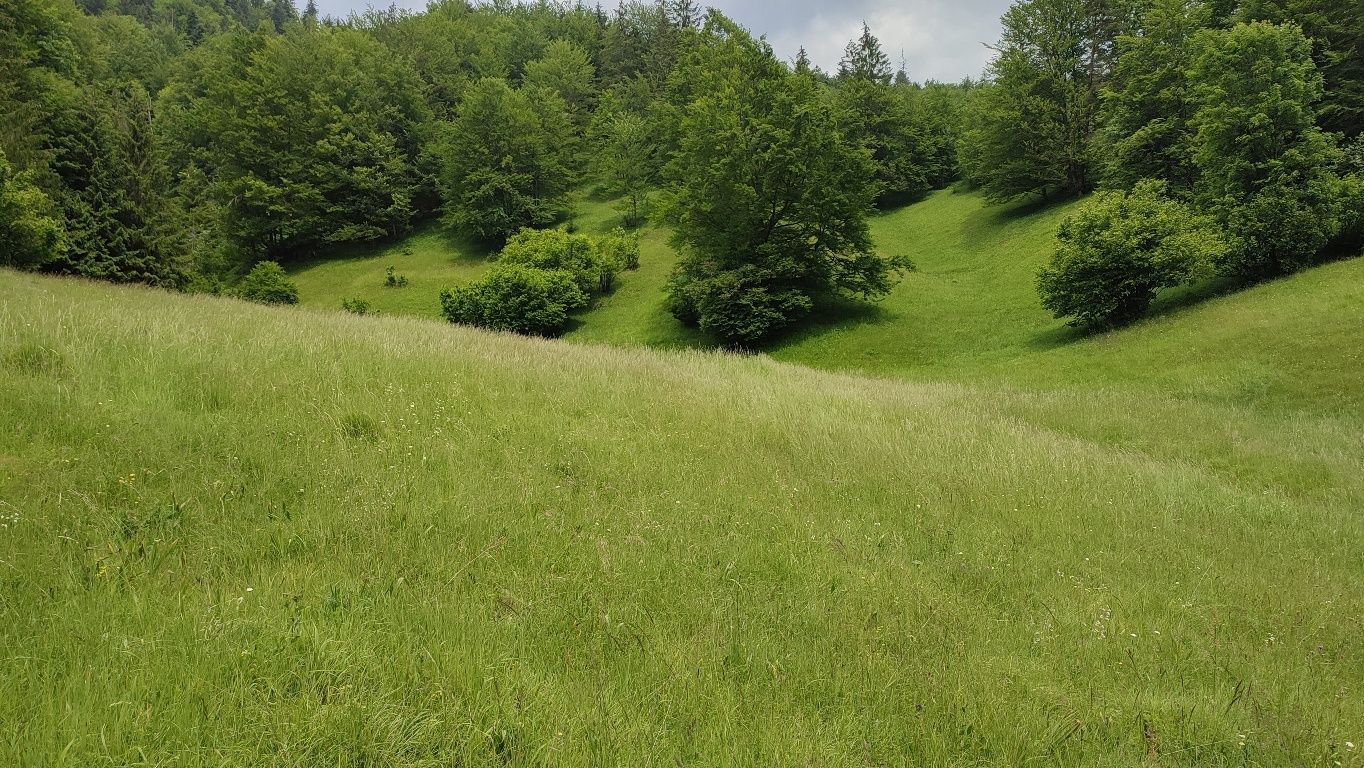 ID: 032-14-STKE Pozemok pod Donovalmi na predaj