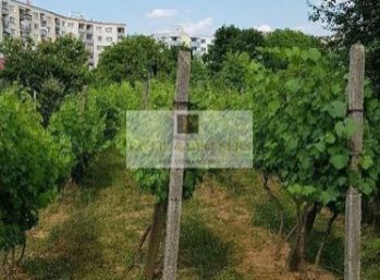 Predaj záhrada s vinohradom, Nitra - Šúdol.