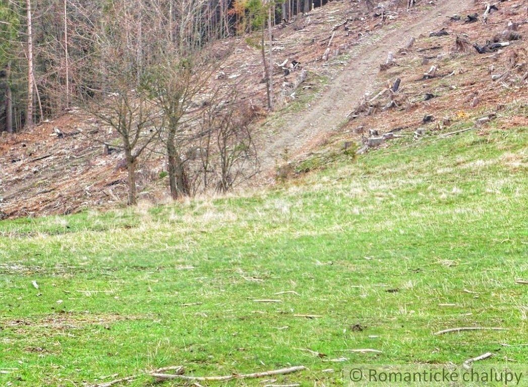 Pozemok uprostred hôr, Nízke Tatry