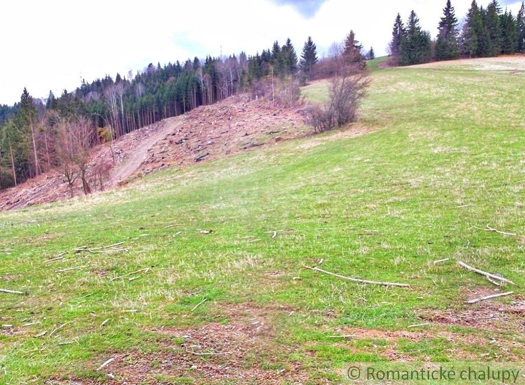 Pozemok uprostred hôr, Nízke Tatry