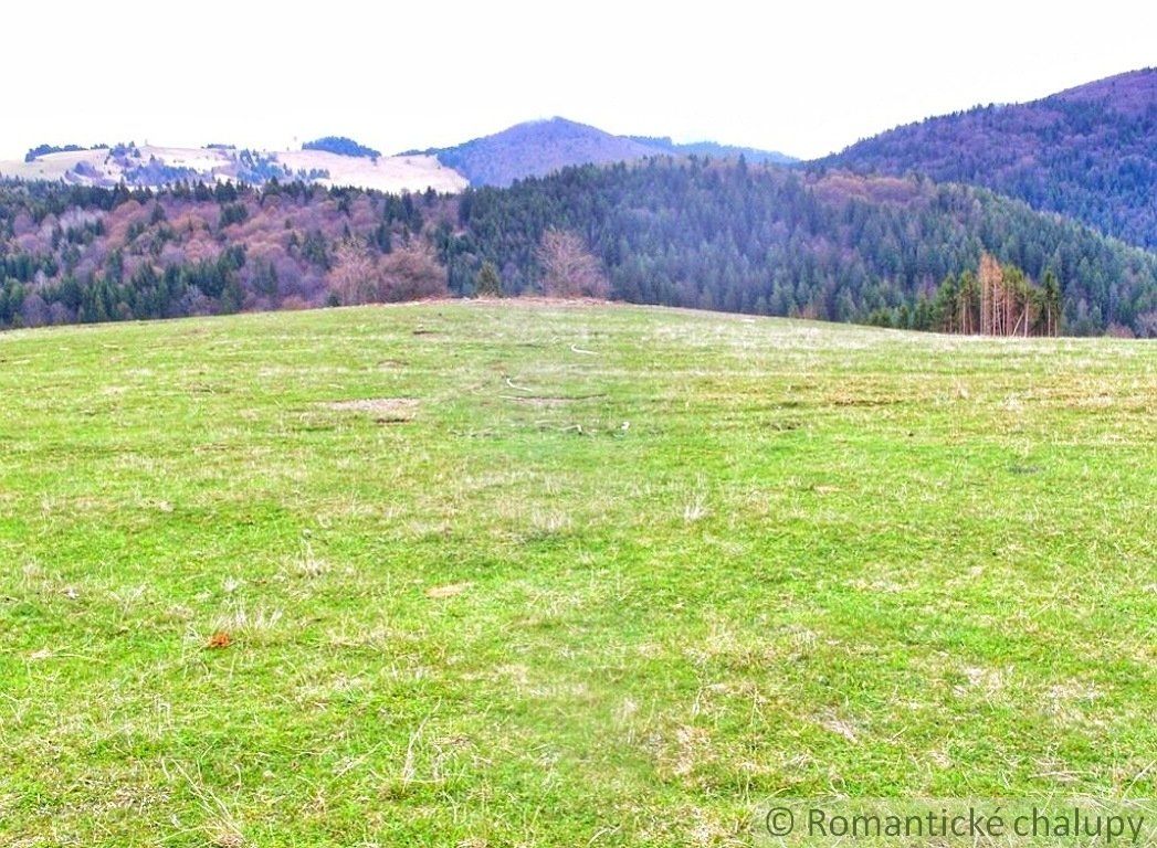 Pozemok uprostred hôr, Nízke Tatry