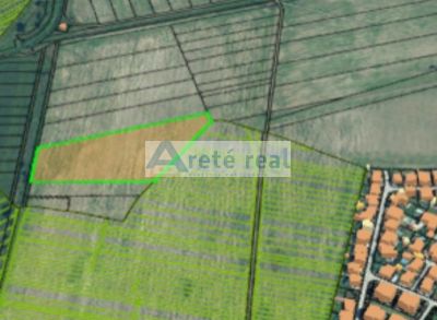 Areté real - Predaj pozemku - ornej pôdy v katastrálnom území Pezinok
