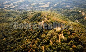 PRIPRAVUJEME DO PONUKY: Výnimočný pozemok v lese s bývalou usadlosťou, 412 669 m2, Filier - Ratkovské Bystré