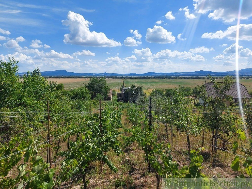 Poschodová chatka s vinohradom neďaleko Štúrova v obci Kamenný Most