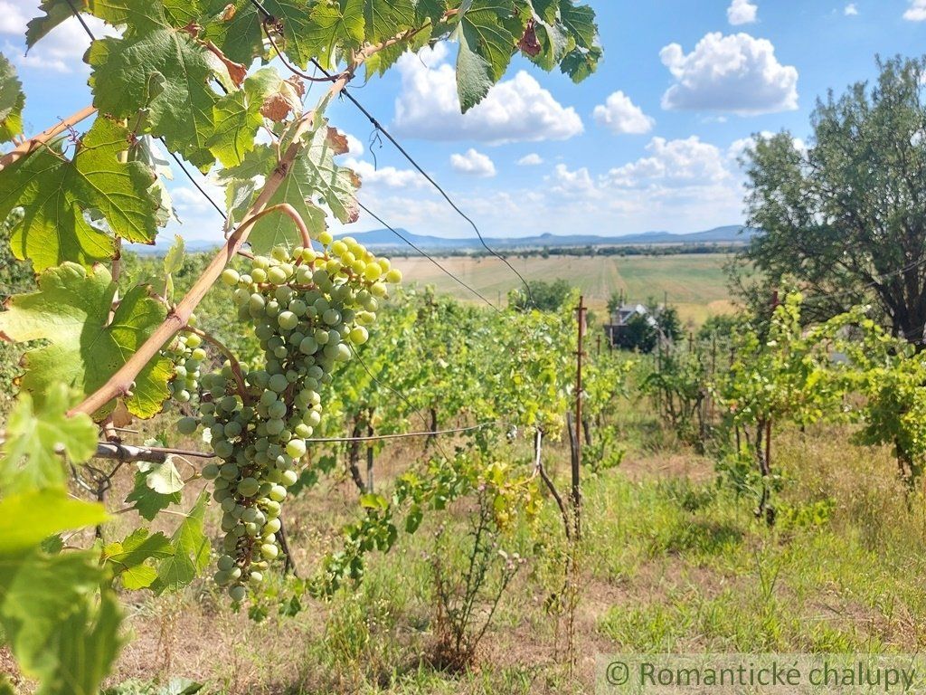 Poschodová chatka s vinohradom neďaleko Štúrova v obci Kamenný Most