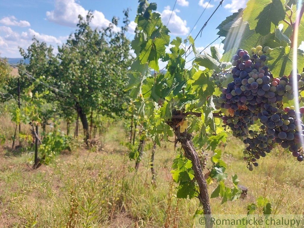 Poschodová chatka s vinohradom neďaleko Štúrova v obci Kamenný Most