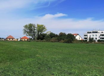 Nádherný pozemok 9163m2 v obci Opoj, vhodný na krásny developerský projekt.