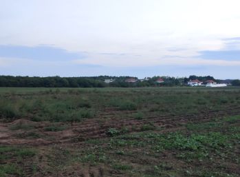 Ponúkame Vám na predaj veľký pozemok v obci Mojzesovo. (Nitra 25 km, Vráble 17 km, Šurany 9 km, Nové Zámky 20 km)