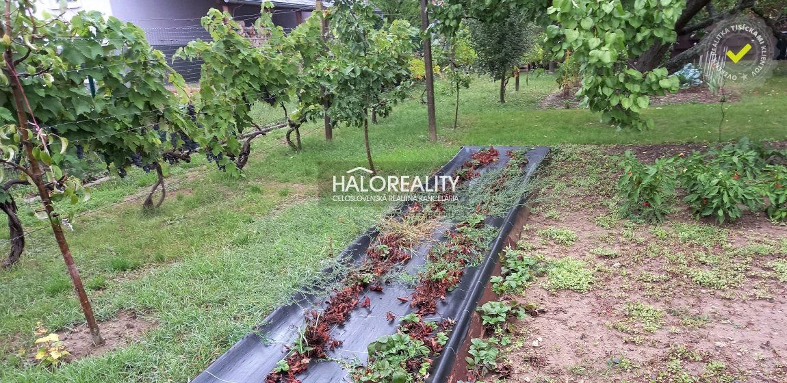 HALO reality - REZERVOVANÉ - Predaj, pozemok pre rodinný dom   438 m2 Trebišov - ZNÍŽENÁ CENA - EXKLUZÍVNE HALO REALITY