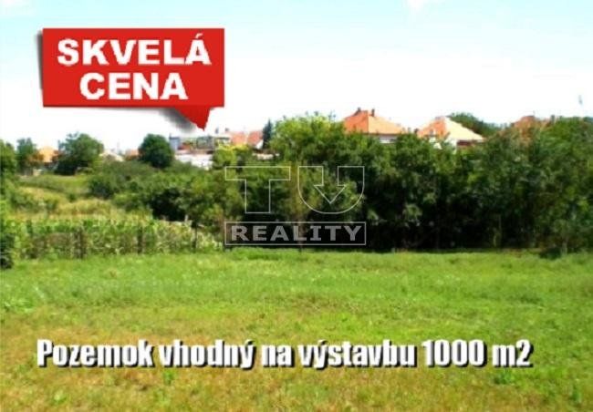 Pozemok pre RD-Predaj-Tekovské Lužany-48 990 €