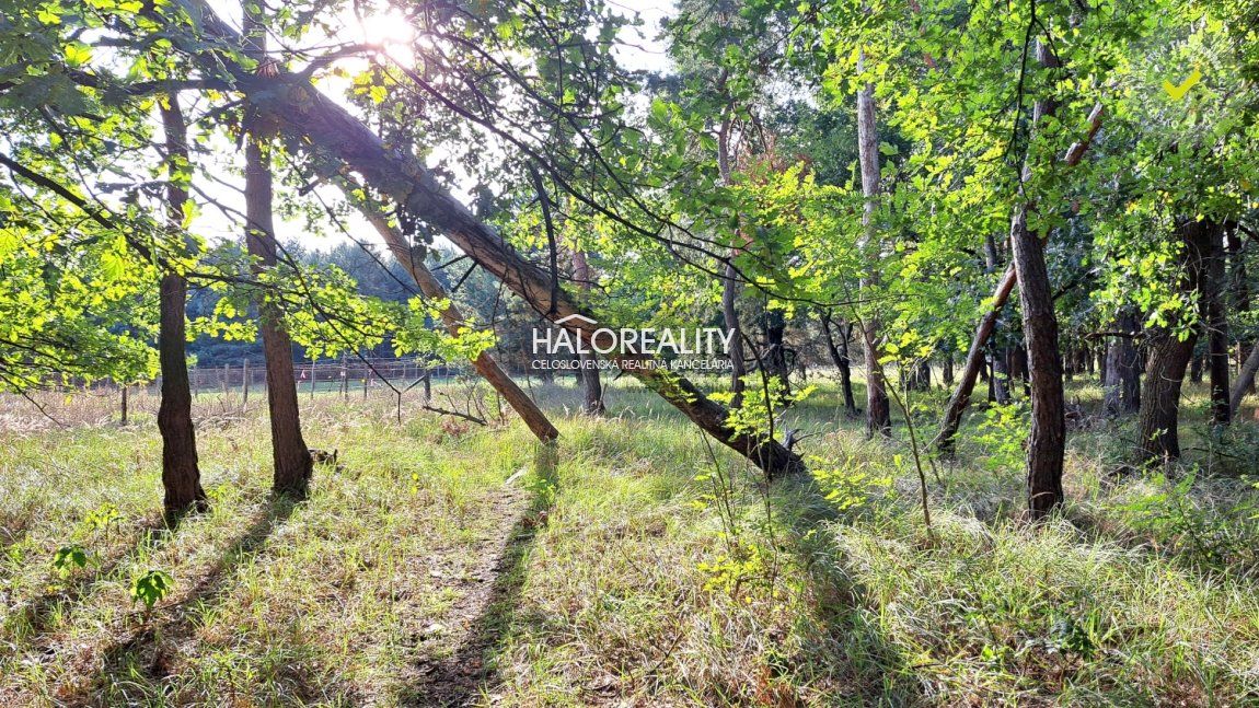 HALO reality - Predaj, pozemok   5643 m2 Borský Svätý Jur, Tomky - EXKLUZÍVNE HALO REALITY