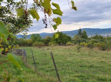 Stavebný pozemok na predaj o výmere 2603 m2 (2 parcely 1628 m2 a 975 m2) v obci Šenkvice na ulici Uhliská