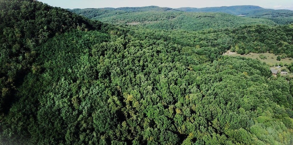 Lesná pôda-Predaj-Hrušov-94 000 €