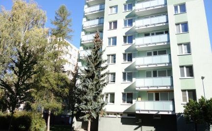 Novo-zrekonštruovaný 3 izbový byt s lodžiou 78 m2 v Trenčíne - Sihoť III