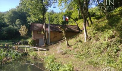 Slnečná chata s rybníkom, Pakostov