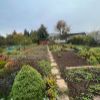 Trnava - záhradka 294 m2, Modranská cesta, krásne prostredie, dohoda možná!