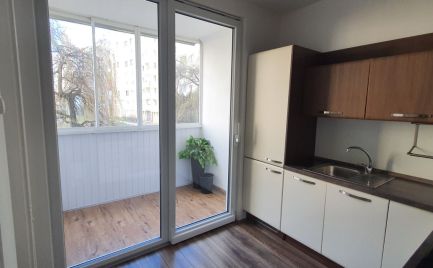 2-izbový byt na Ďumbierskej ulici  v Prešove, na sídlisku Sekčov, prenájom
