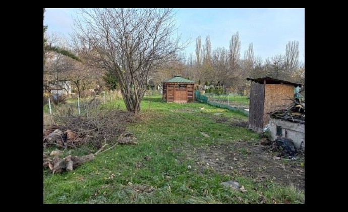 PRENÁJOM: Záhrada v záhradkárskej kolónii v Bratislave - Nové mesto