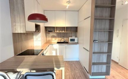 Ponúkame na prenájom 2-izbový byt s parkovacím miestom v novostavbe Apollis na Plynárenskej ulici, Bratislava II.-Nivy