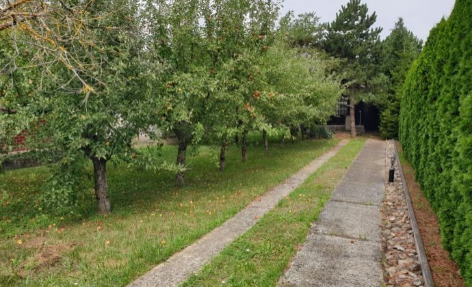Chata s veľkým pozemkom v obci Brunovce, len 10 km od Nového Mesta nad Váhom, určený na výstavbu rodinného domu!