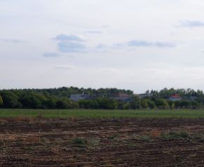Ponúkame Vám na predaj veľký pozemok v obci Mojzesovo. (Nitra 22 km, Vráble 17 km, Šurany 9 km, Nové Zámky 20 km)