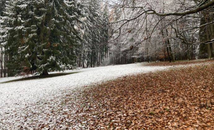 Pozemok na predaj Vrútky - Karvaša Bláhovca