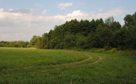 Rovinaté a slnečné pozemky vo Svätom Jure, v blízkosti zastavanej časti obce.