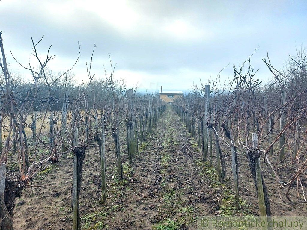 Dvojposchodová chatka s vinohradom na viničnom vŕšku v dedinke Gbelce