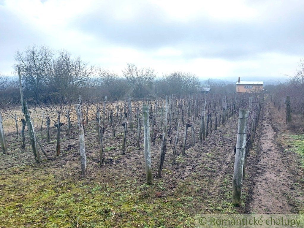 Dvojposchodová chatka s vinohradom na viničnom vŕšku v dedinke Gbelce