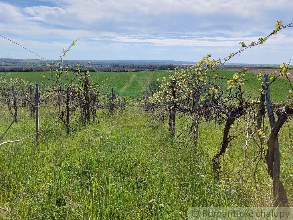 Svahovitý pozemok s krásnym výhľadom na samote blízko prírodnej rezervácie v obci Nová Vieska